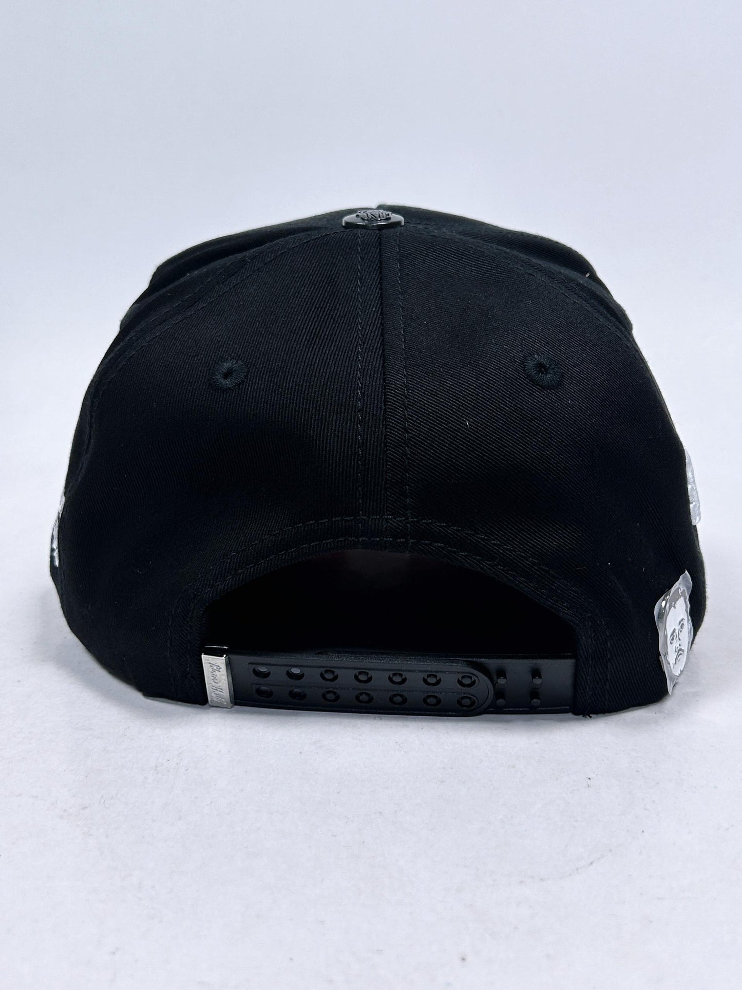 1.Señor de los gallos Jalisco cap